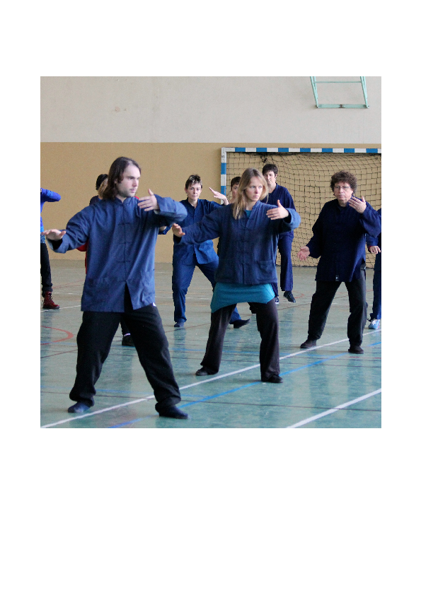 stage_novembre_t (...), page 2